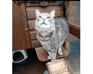 Screenshot 20191031 160858