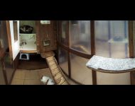 cattery (25 of 30)