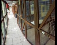cattery (26 of 30)
