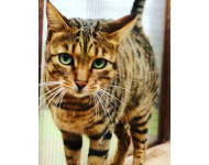 Screenshot 20191031 160803