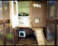 cattery (24 of 30)